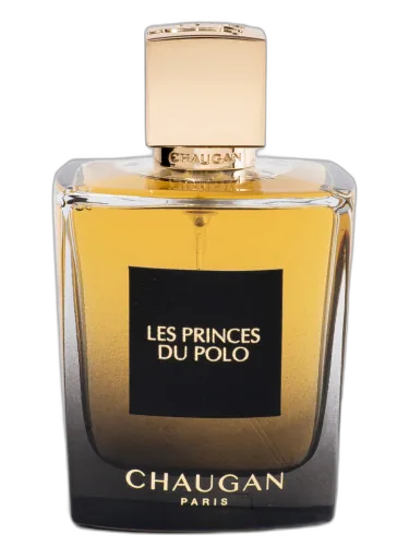Les Princes Du Polo Chaugan by Chaugan