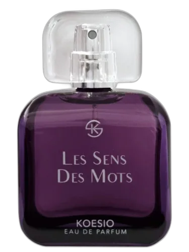 Les Sens Des Mots Koesio by Koesio