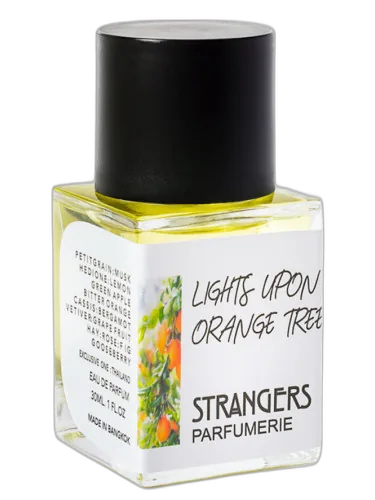 Lights Upon Orange Tree Strangers Parfumerie by Strangers Parfumerie