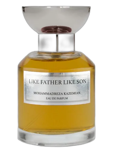 Like Father Like Son Mohammadreza Kazemian by Mohammadreza Kazemian