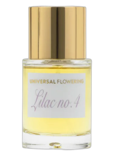 Lilac No.4 Universal Flowering by Universal Flowering