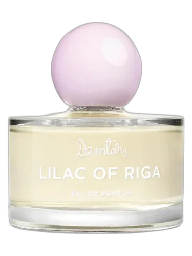 Lilac Of Riga (рижская Сирень, 2022) Dzintars