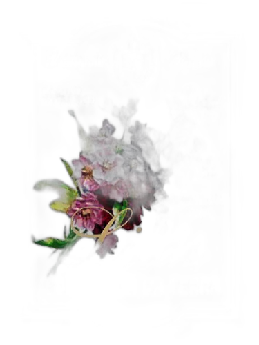 Lilas Companhia Da Terra