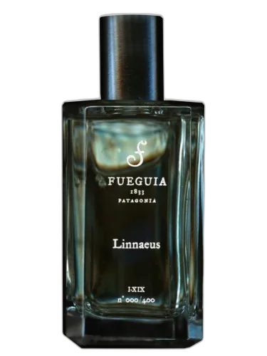 Linnaeus Fueguia 1833 by Fueguia 1833
