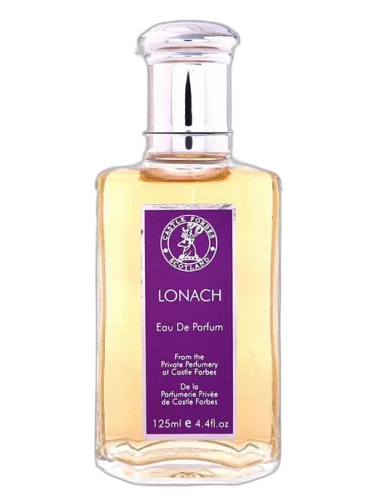 Lonach Castle Forbes by Castle Forbes