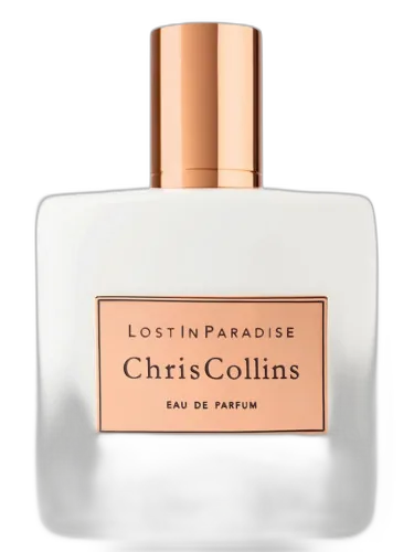 Lost In Paradise Chris Collins by Chris Collins