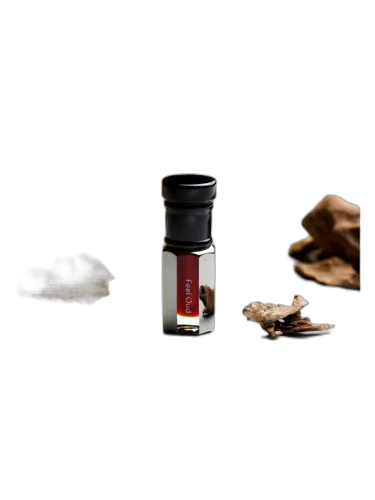 Lotus Oud Feel Oud