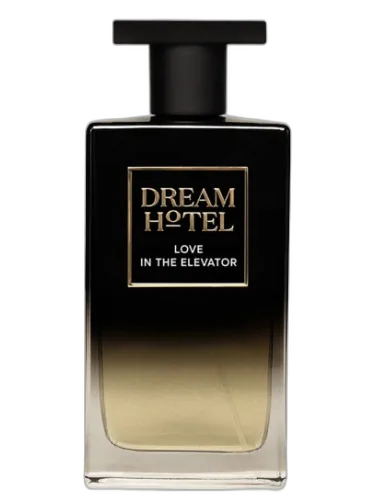 Love In The Elevator Dream Hotel by Dream Hotel