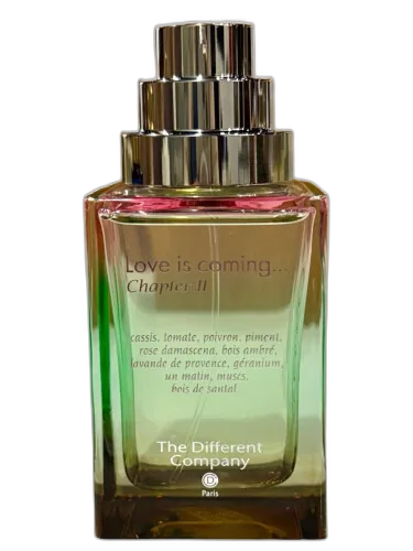 Love Is Coming... Chapter Ii The Different Company by The Different Company