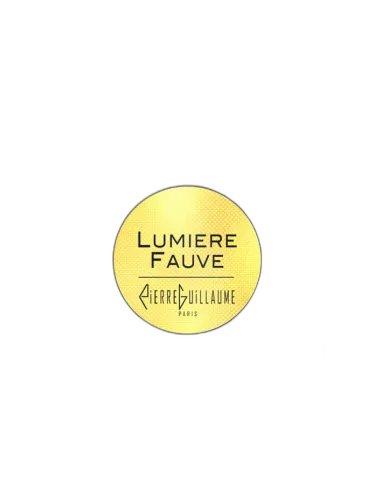 Lumiere Fauve Pierre Guillaume Paris by Pierre Guillaume Paris