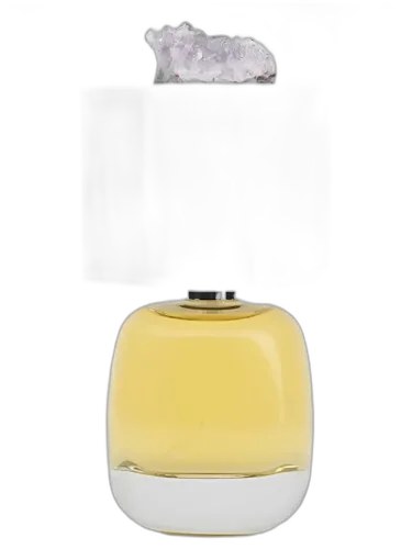 Lux Visionaria Filippo Sorcinelli by Filippo Sorcinelli