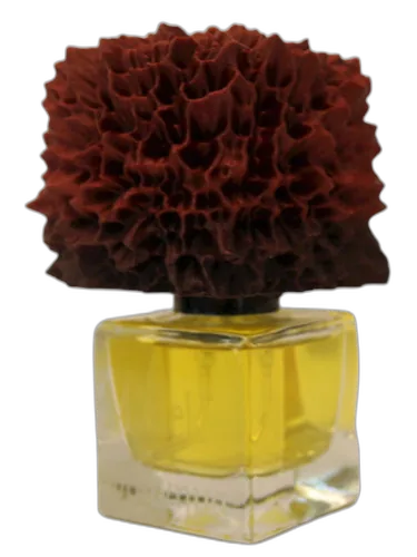 Måneløs Phronema Perfumes