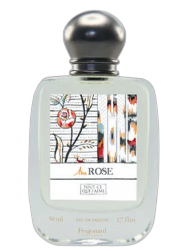 Ma Rose Fragonard by Fragonard