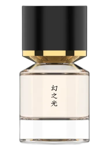 Maborosi 幻之光 Fukudo 浮香堂