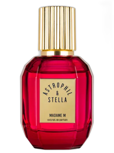Madame M Astrophil & Stella by Astrophil & Stella
