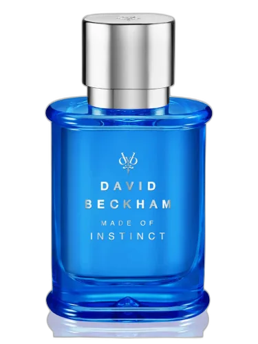 Made Of Instinct David Beckham