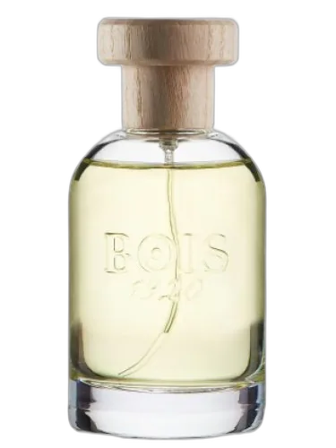 Magia Bois 1920 by Bois 1920