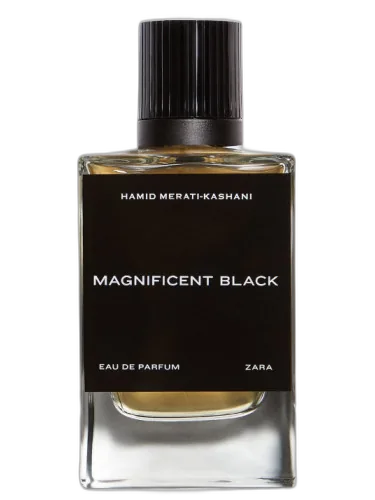 Magnificent Black Zara by Zara
