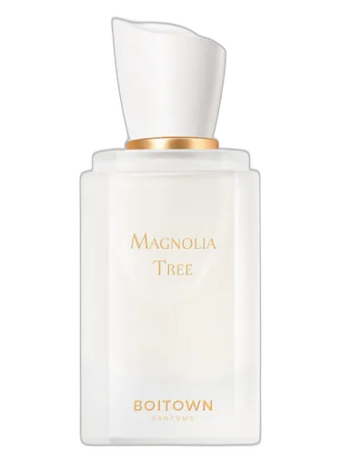 Magnolia Tree 一树玉兰 Boitown 冰希黎 by Boitown 冰希黎