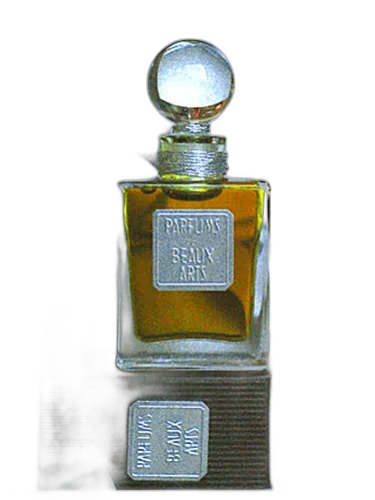 Mahjoun Dsh Perfumes by DSH Perfumes