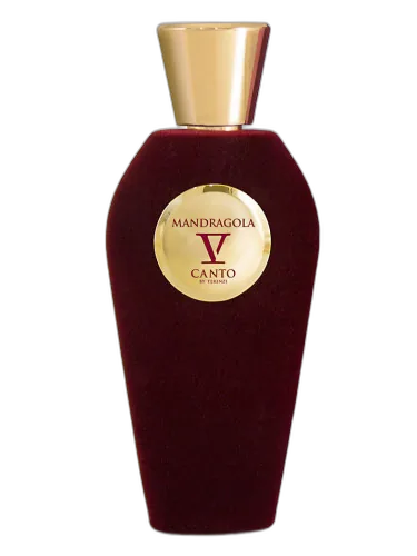 Mandragola V Canto by V Canto