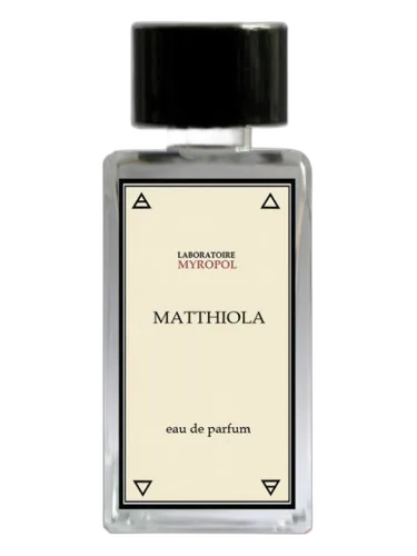 Matthiola Myropol