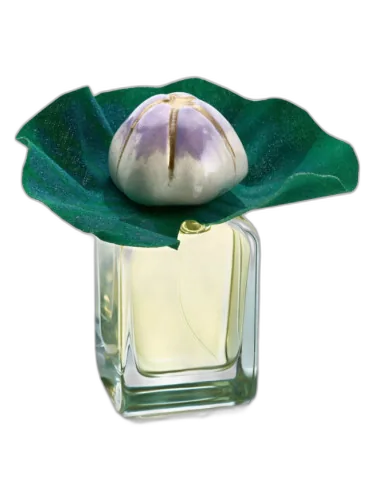 Mauna Mendittorosa by Mendittorosa