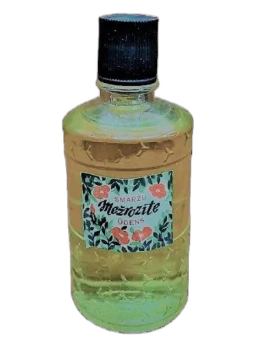 Mežrozīte (шиповник) Dzintars