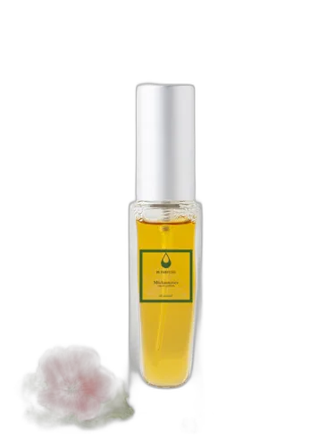 Mechanteries Fl Parfums by FL Parfums