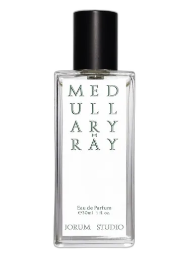 Medullary-ray Jorum Studio by Jorum Studio