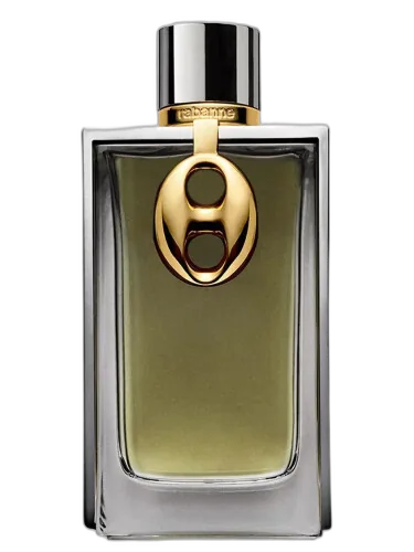 Mesh Metal Rabanne by Rabanne