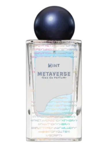 Metaverse Hint by Hint
