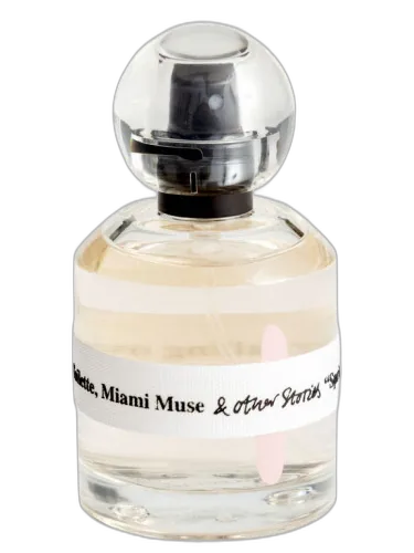 Miami Muse And Other Stories by And Other Stories