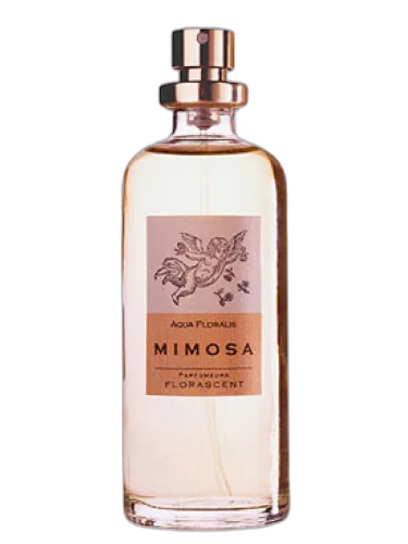 Mimosa Florascent by Florascent