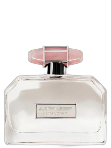Minaudière Judith Leiber by Judith Leiber
