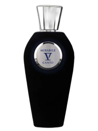 Mirabile V Canto by V Canto