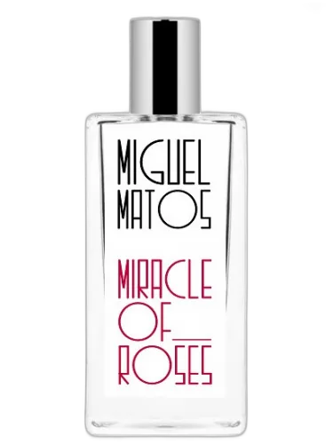 Miracle Of Roses Miguel Matos by Miguel Matos