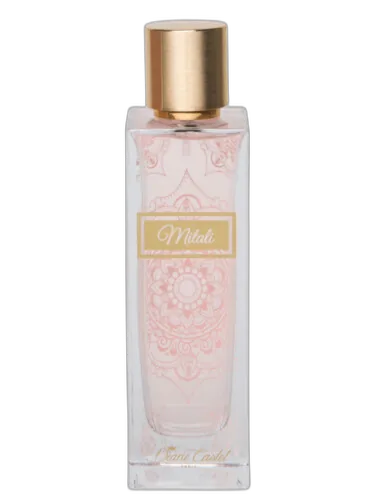 Mitali Diane Castel by Diane Castel