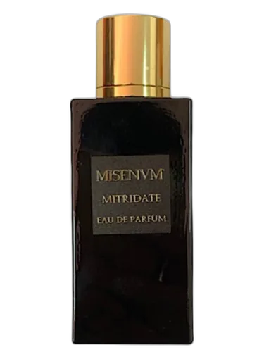 Mitridate Misenum by Misenum