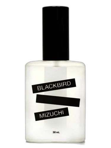 Mizuchi Blackbird