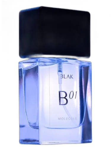 Molecule B 01 Blak by BLAK