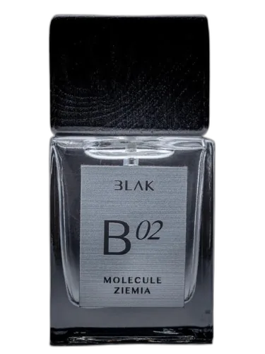 Molecule Ziemia B 02 Blak by BLAK