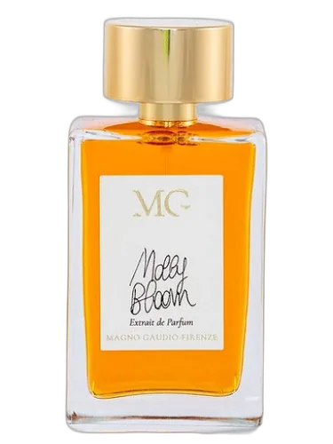 Molly Bloom Magno Gaudio Firenze