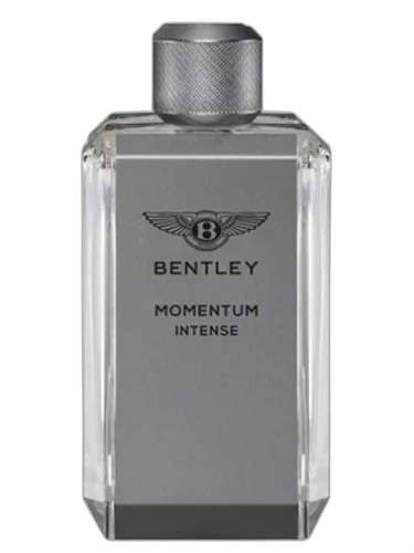 Momentum Intense Bentley by Bentley
