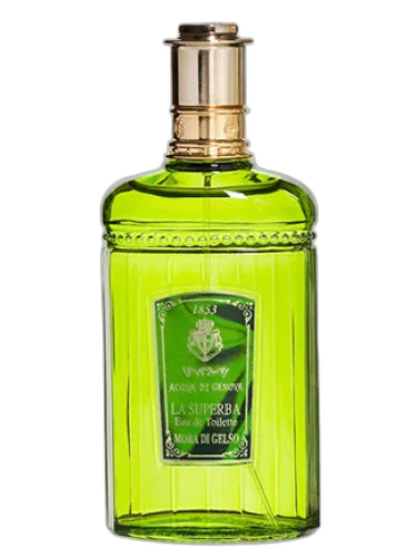 Mora Di Gelso Acqua Di Genova