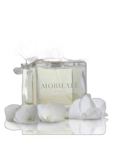 Morreale Pour Femme Morreale Paris by Morreale Paris