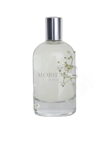Morreale Pour Homme Morreale Paris by Morreale Paris
