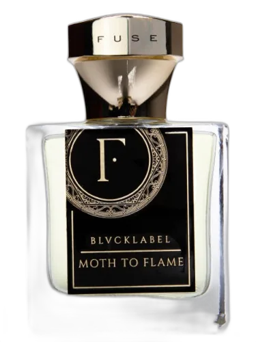 Moth To Flame Fuse by Fuse