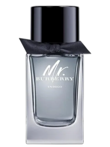 Mr. Burberry Indigo Burberry by Burberry