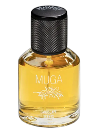 Muga Bravanariz by Bravanariz